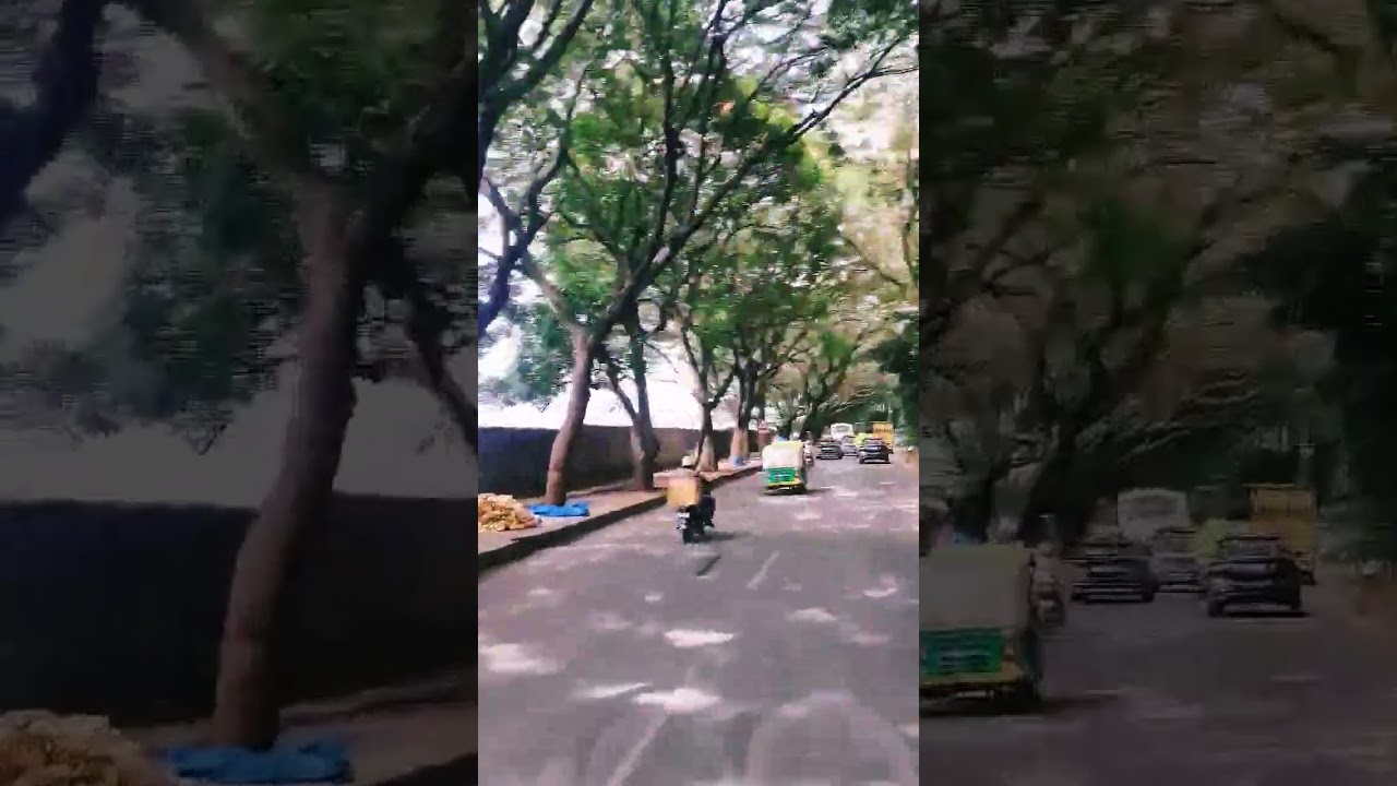 #bijay giri vlogs #shorts #youtubeshorts #trending #viral video #youtubeshorts