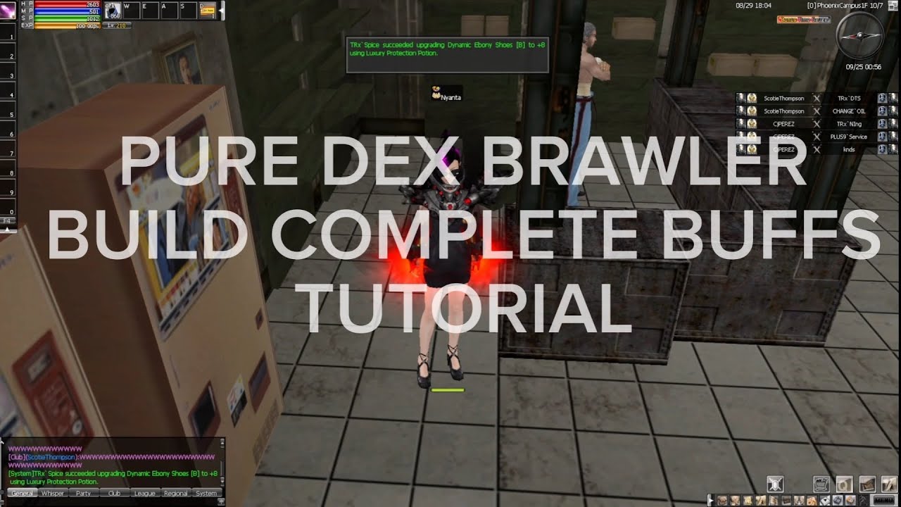 PURE DEX BRAWLER BUILD TUTORIAL 167 LAST SKILL - Ran Online EP 6 210 CAP