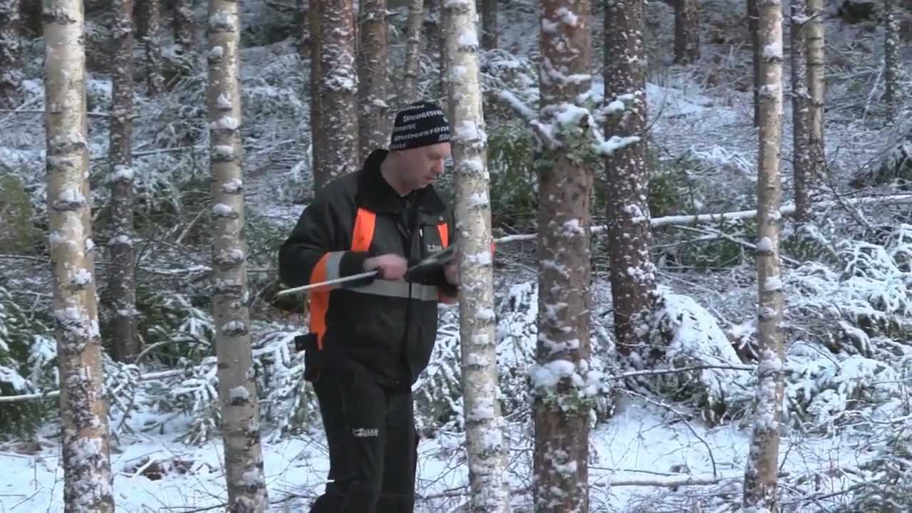 Automatisk gallringsuppföljning