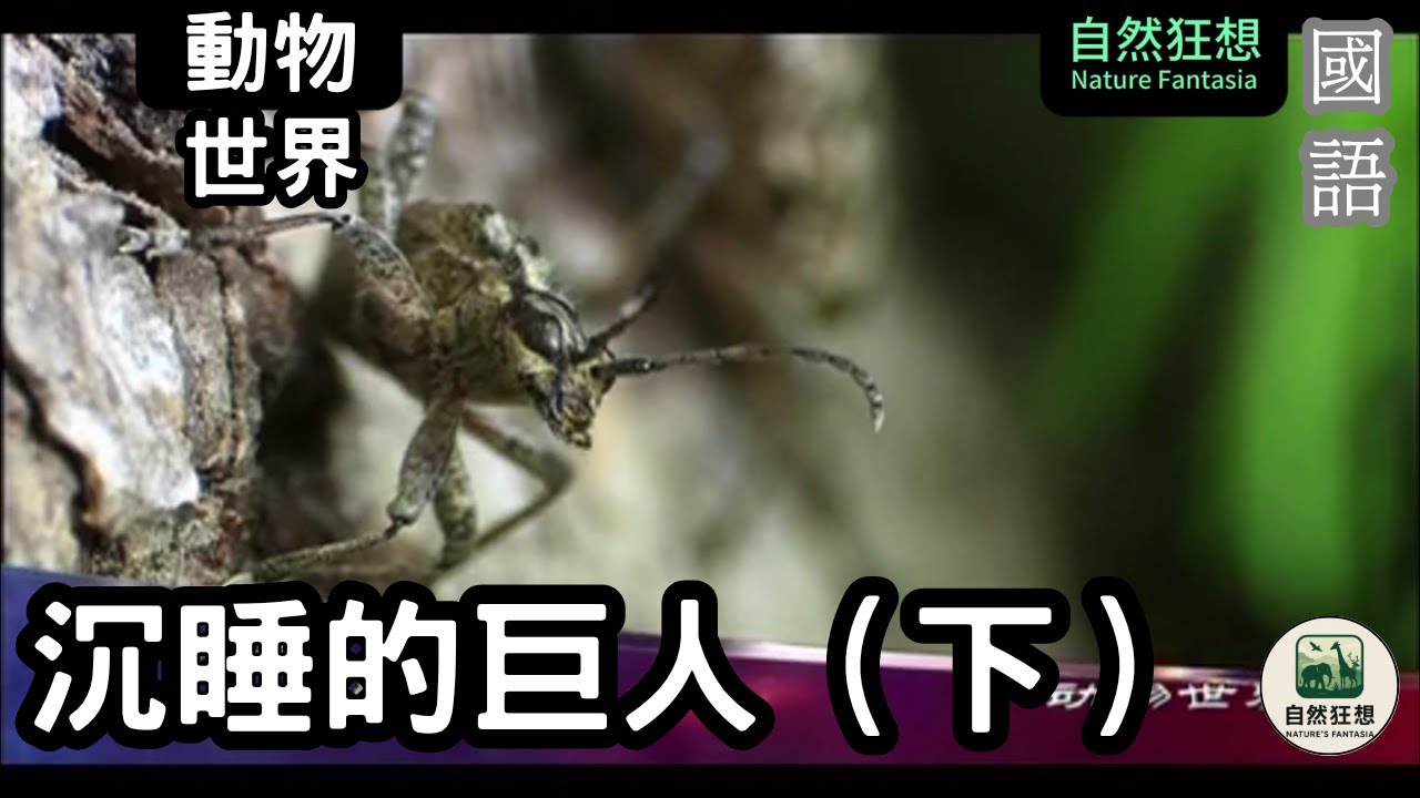[國語高清] 沉睡的巨人（下）：大地深處的沉默守護者 