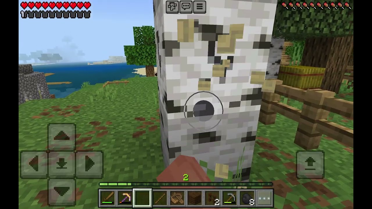 Minecraft part 2