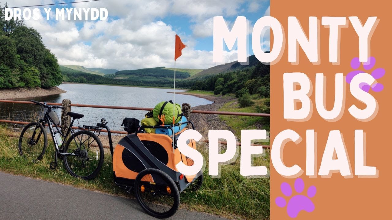 Monty Goes Camping - Dog on a Bikepacking mission