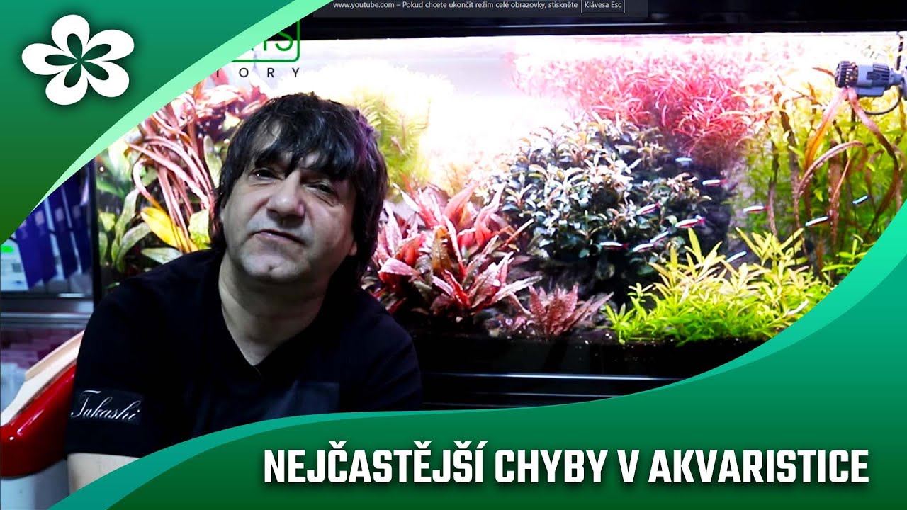 Откажитесь от иловой ловушки или самые распространенные ошибки в аквариумистике (мульти субтитры)