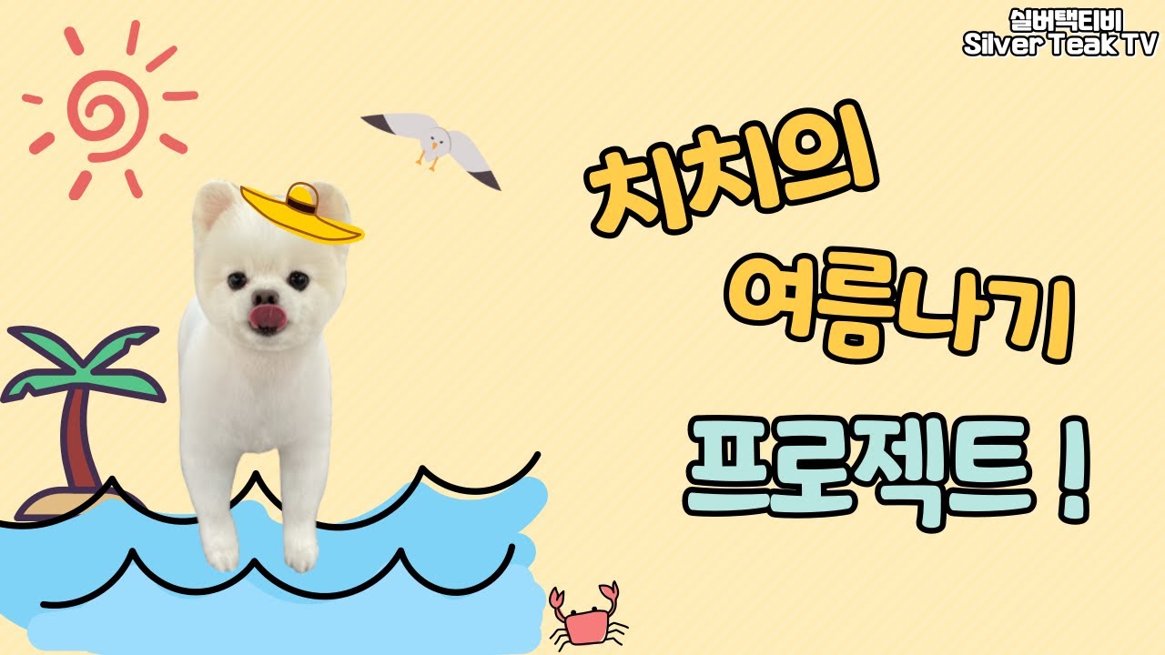 가위로 최대한 짧게 곰돌이컷 하기!