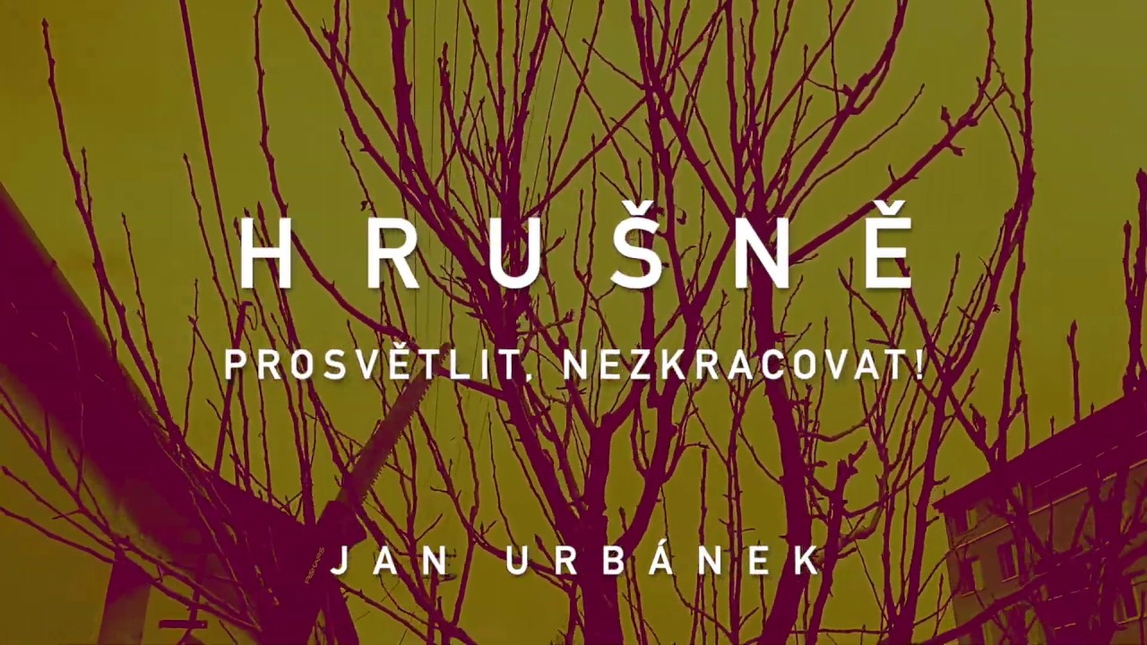 Hrušně – prosvětlit, nezkracovat!