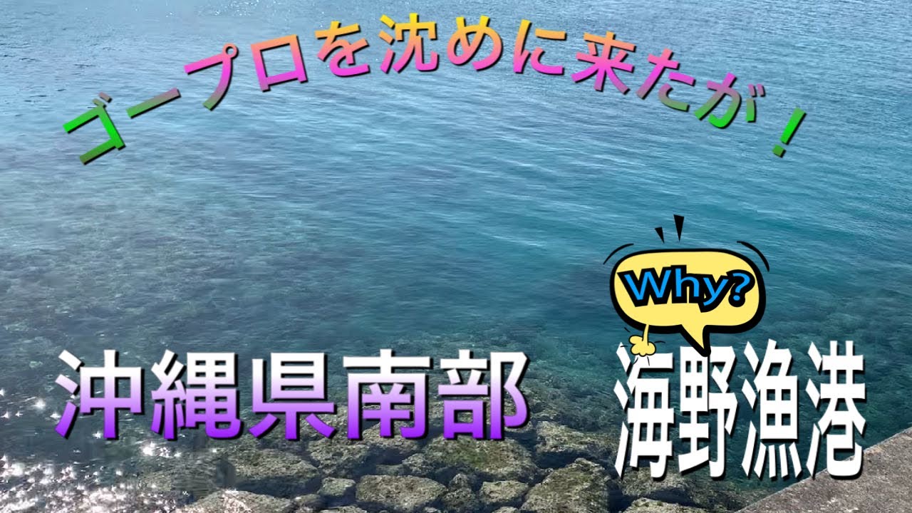 gopro9を海に沈めてポイント探索②海野漁港水中カメラ映像#gopro9#沖縄釣り#水中映像