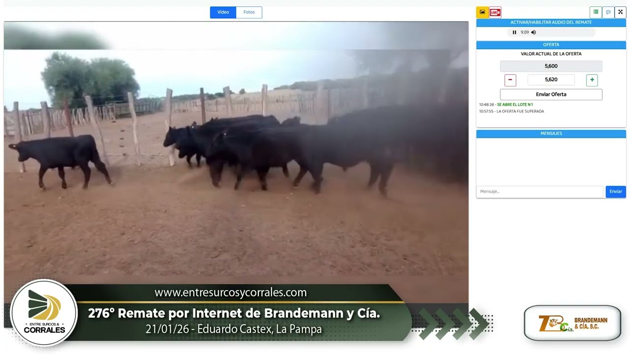 21-01-26 - 276º Remate por Internet de Brandemann y Cía. -  Eduardo Castex, La Pampa