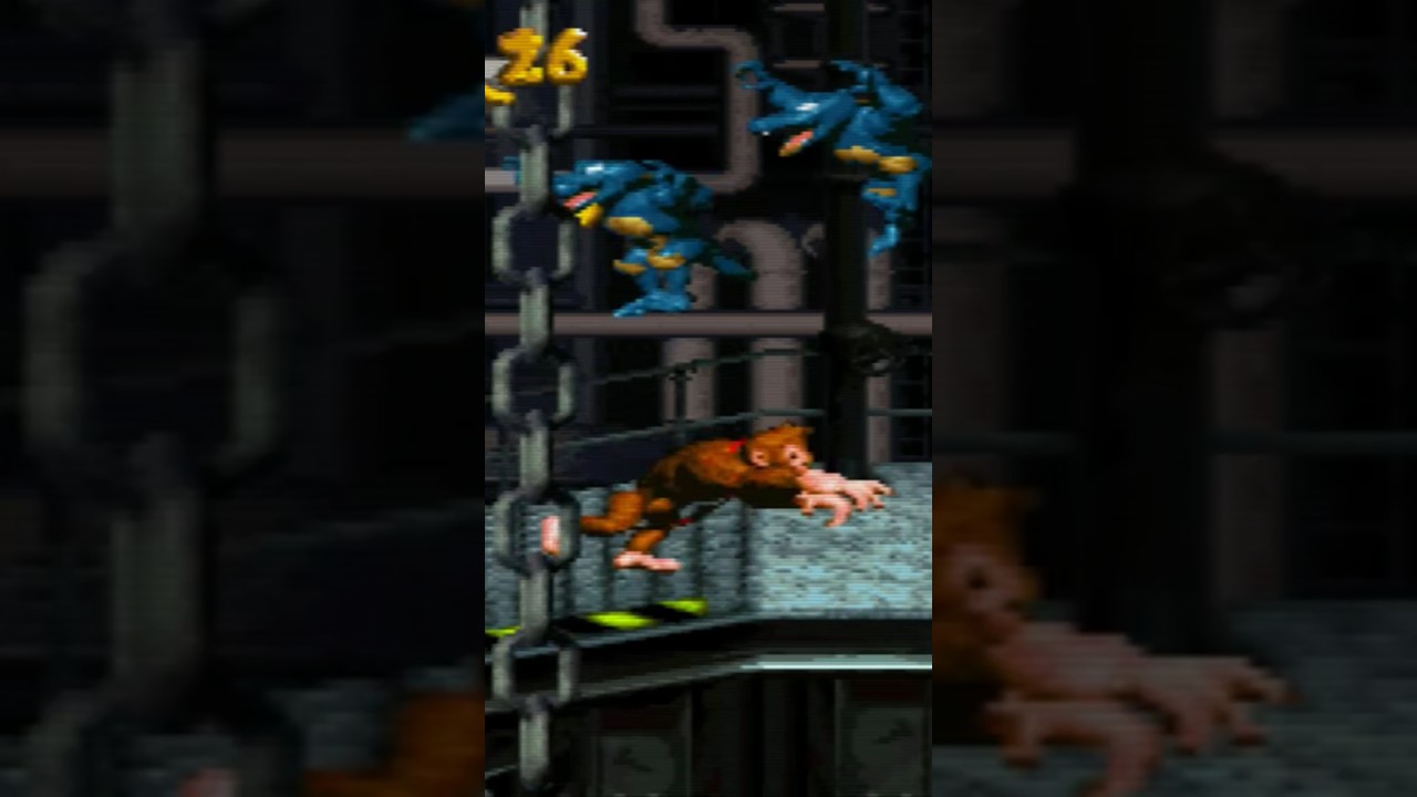 Donkey Kong Country