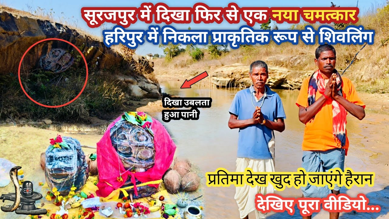 सूरजपुर में दिखा फिर से एक नया चमत्कार।हरिपुर में निकला प्राकृतिक रूप से शिवलिंग।Haripur Me Shivling