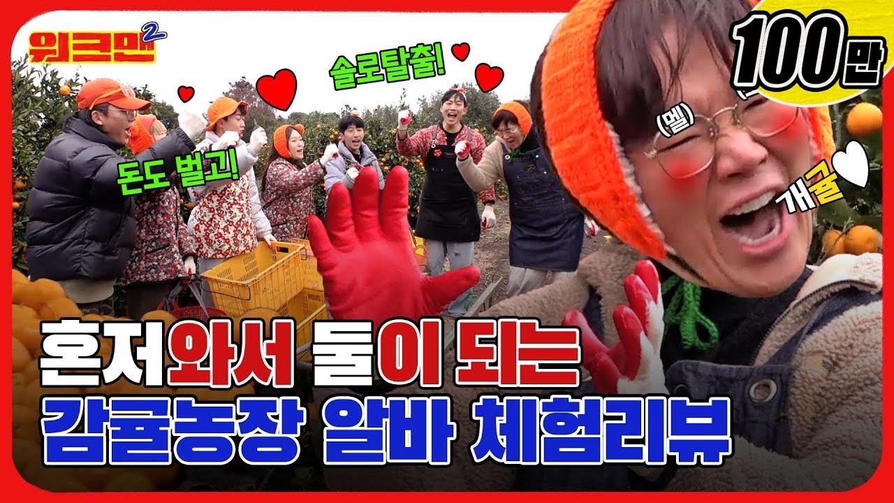 [EN] 🍊나랑 사귤래...?🍊 돈도 벌고 연애도 하고 숙식도 해결되는 개귤알바💗 | 제주도 | 감귤농장 | 레전드 | 워크맨2