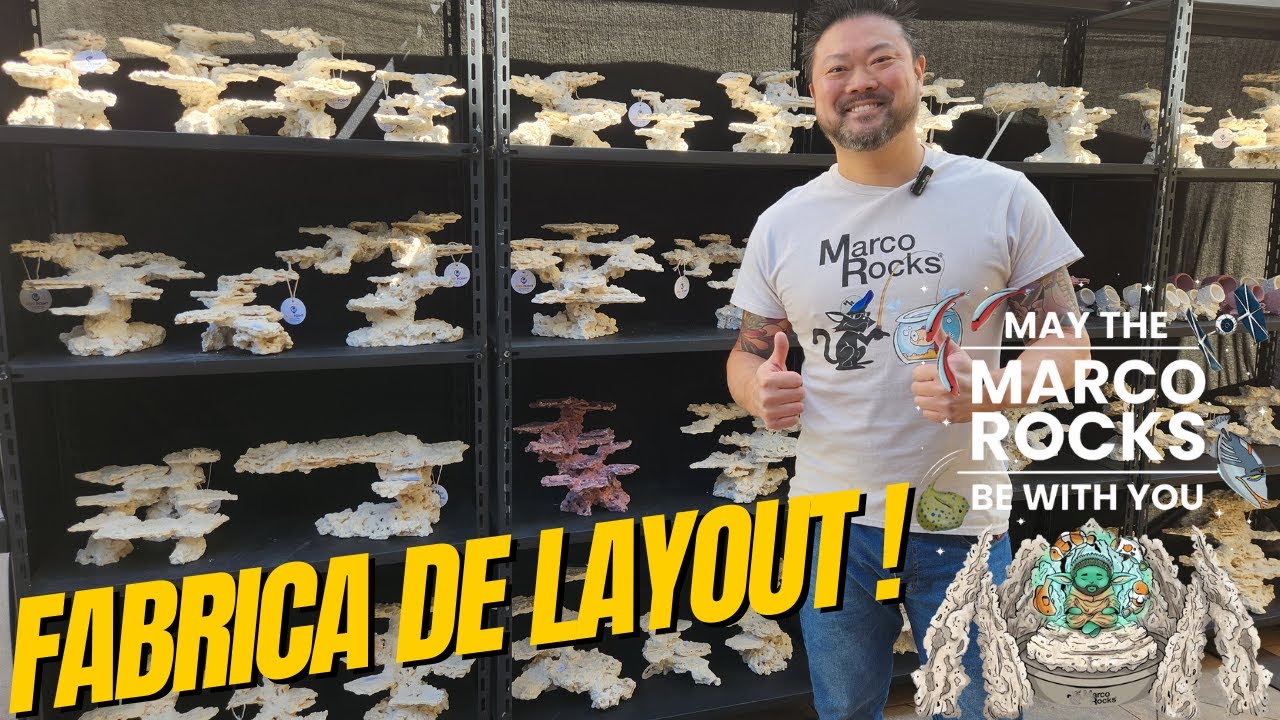 Fabrica de Layout! Ideias incríveis de Layouts para o seu Aquário Marinho :) Disponíveis na Reef Day