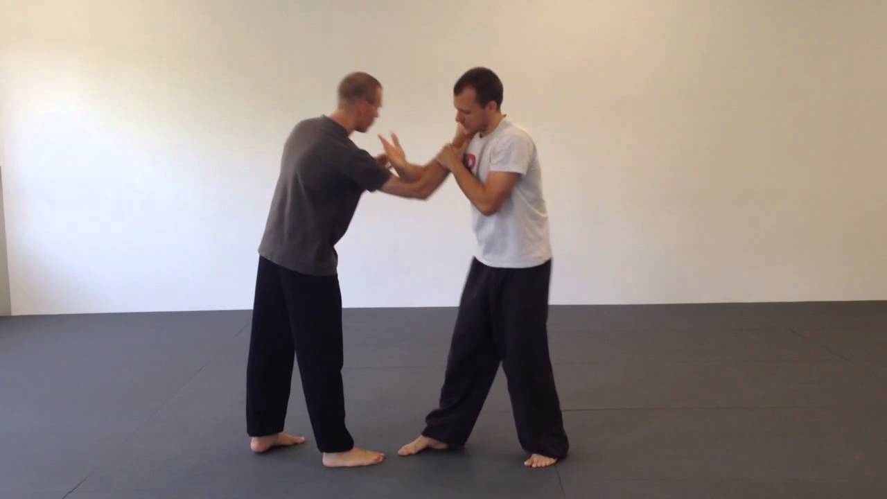 Jie Shou Zhang - 截手掌 - Yizong Bagua Deutschland