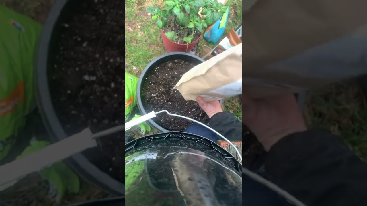 Organic Process Video