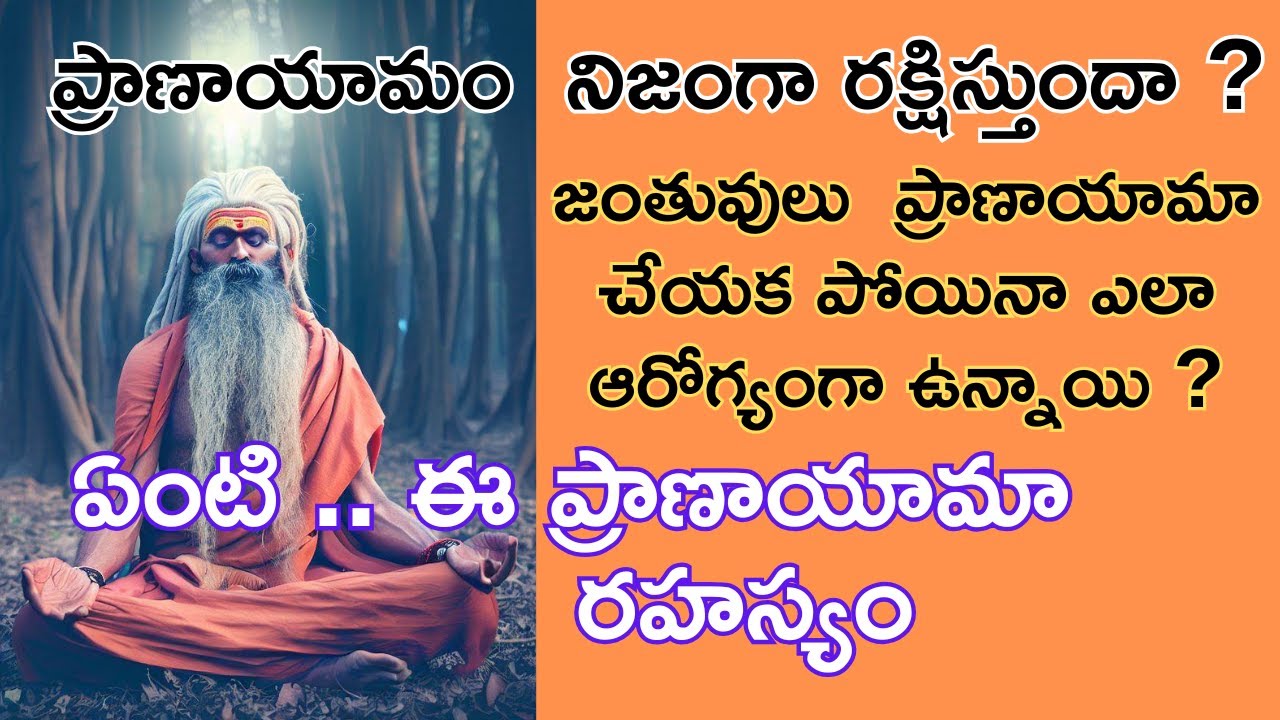 ప్రాణాయమము  ఎలా మనల్ని రక్షిస్తుంది ? అద్భుత శాస్త్రీయ రహస్యం -BY SAGAR SINDHURI