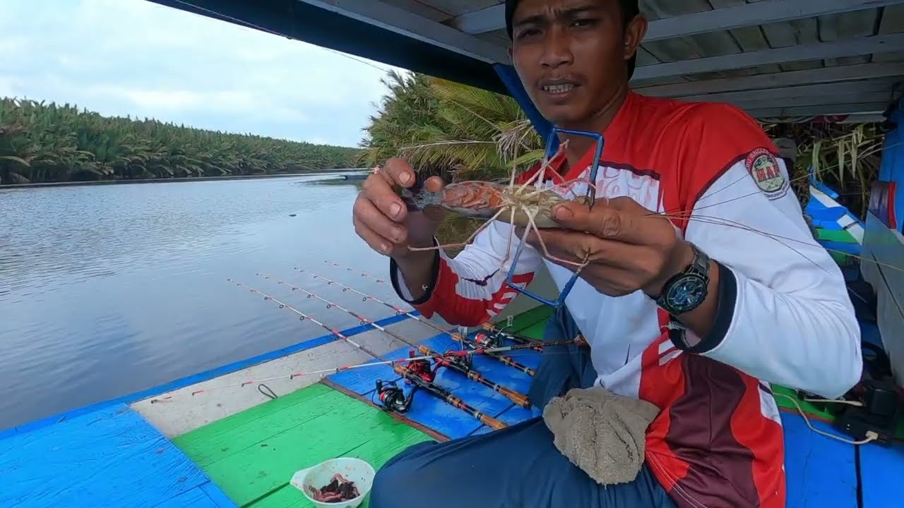 Saya kembali lagi mancing di sungai bersama pak cik pemancing gelondong 