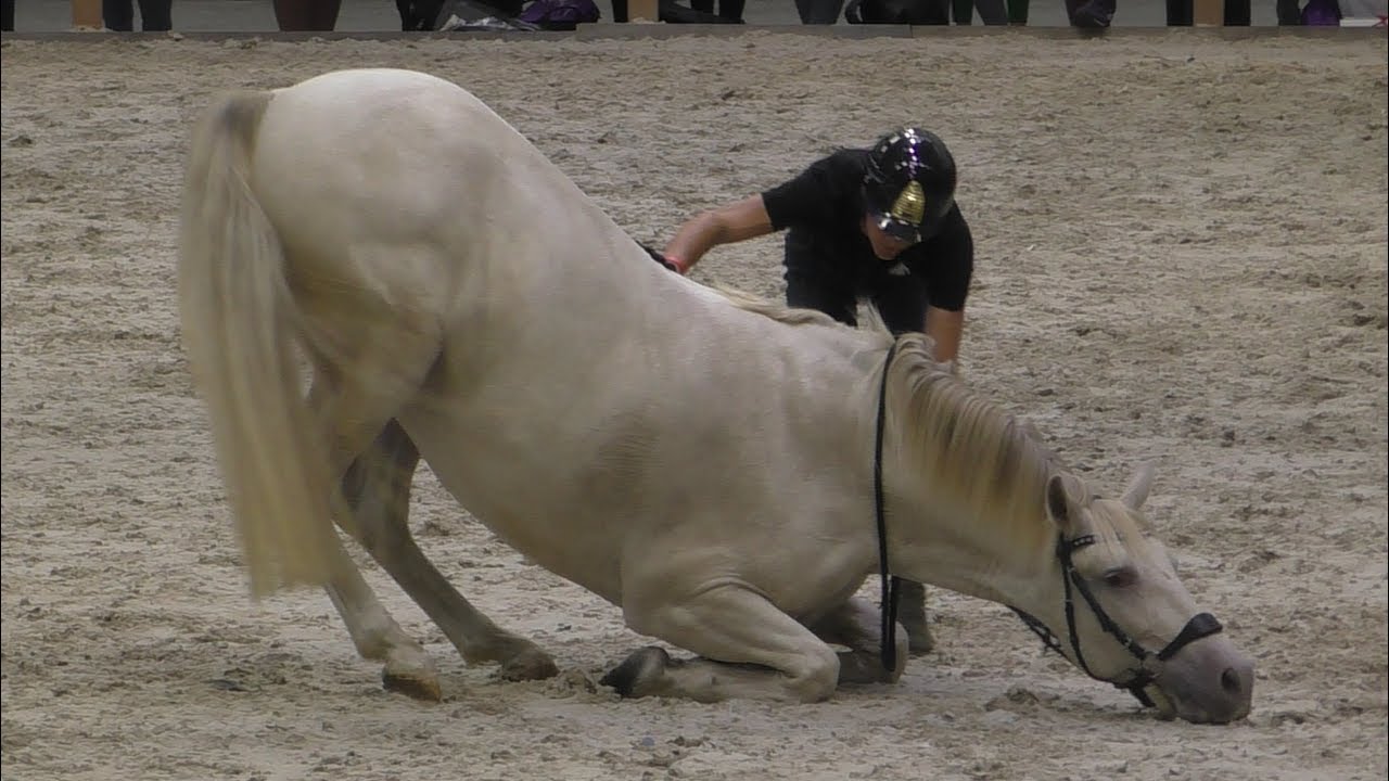 Jesse Drent & Eva Roemaat Horse Event