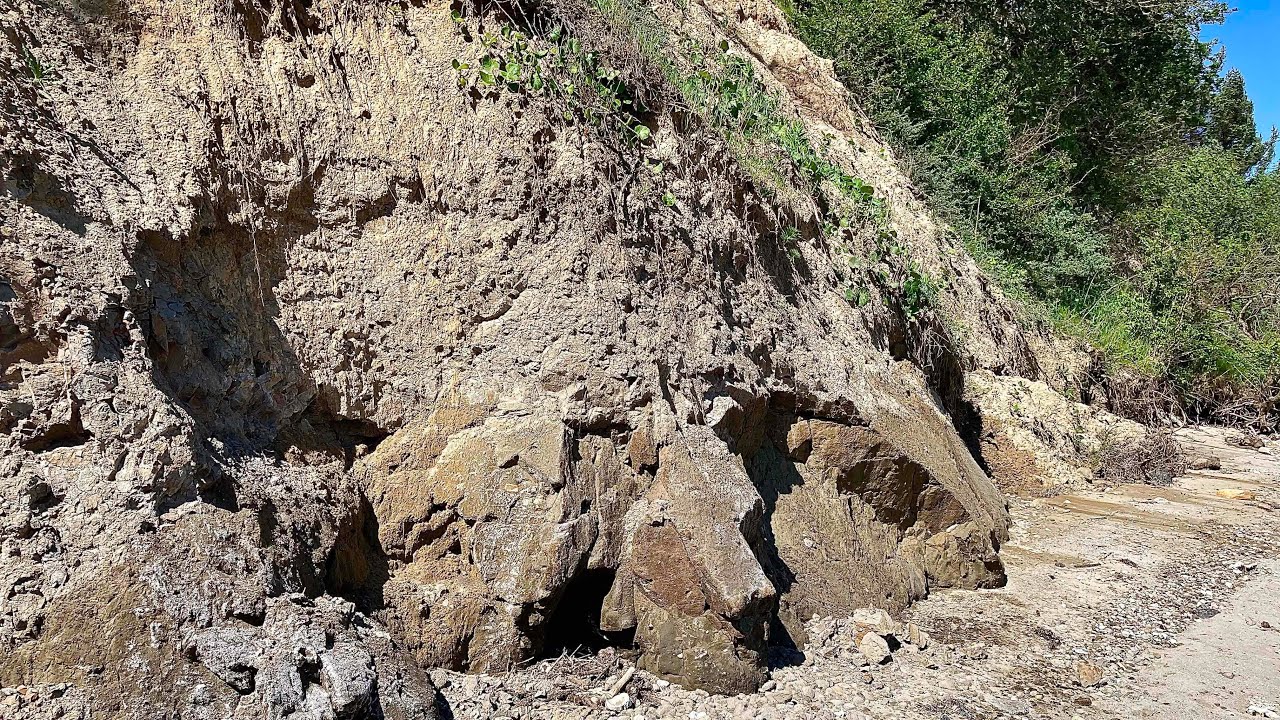 Denmark: Along The Cliffs On Jegind&oslash;                                                    16. May 2024