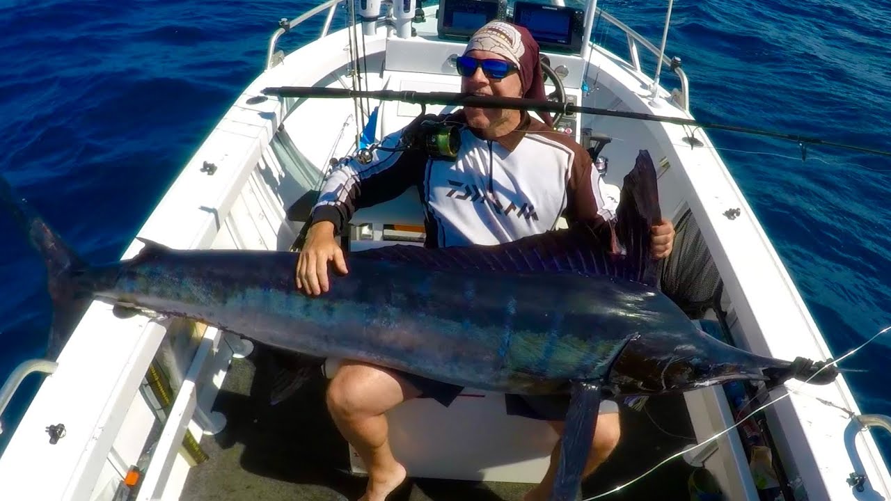 Sydney Marlin on Formosa 520 (Saltiga dogfight 8000)