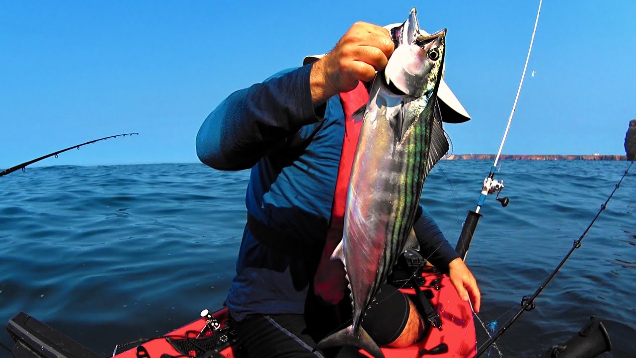 Sea Bass and Bonitos - Kayak Fishing on the Edge - Sagres - 1080HD 50fps