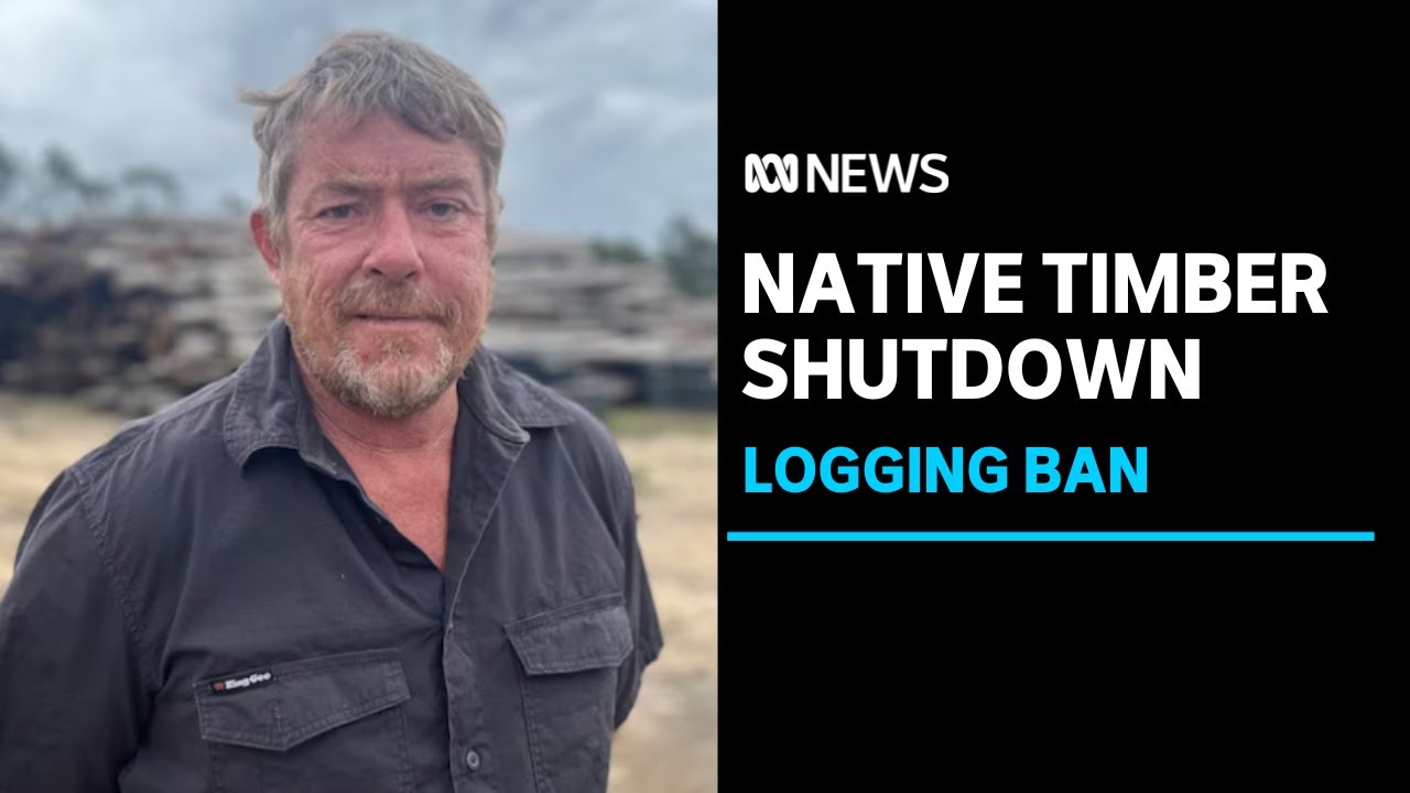 Victoria's native timber logging industry shuts down after ban comes into effect | ABC News