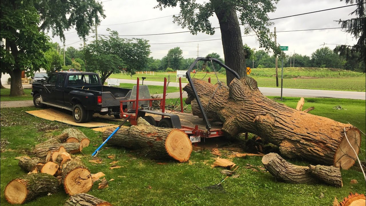 Unloading 7000Ib Burr Oak Log From Trailer (30 Minutes in 23 seconds)