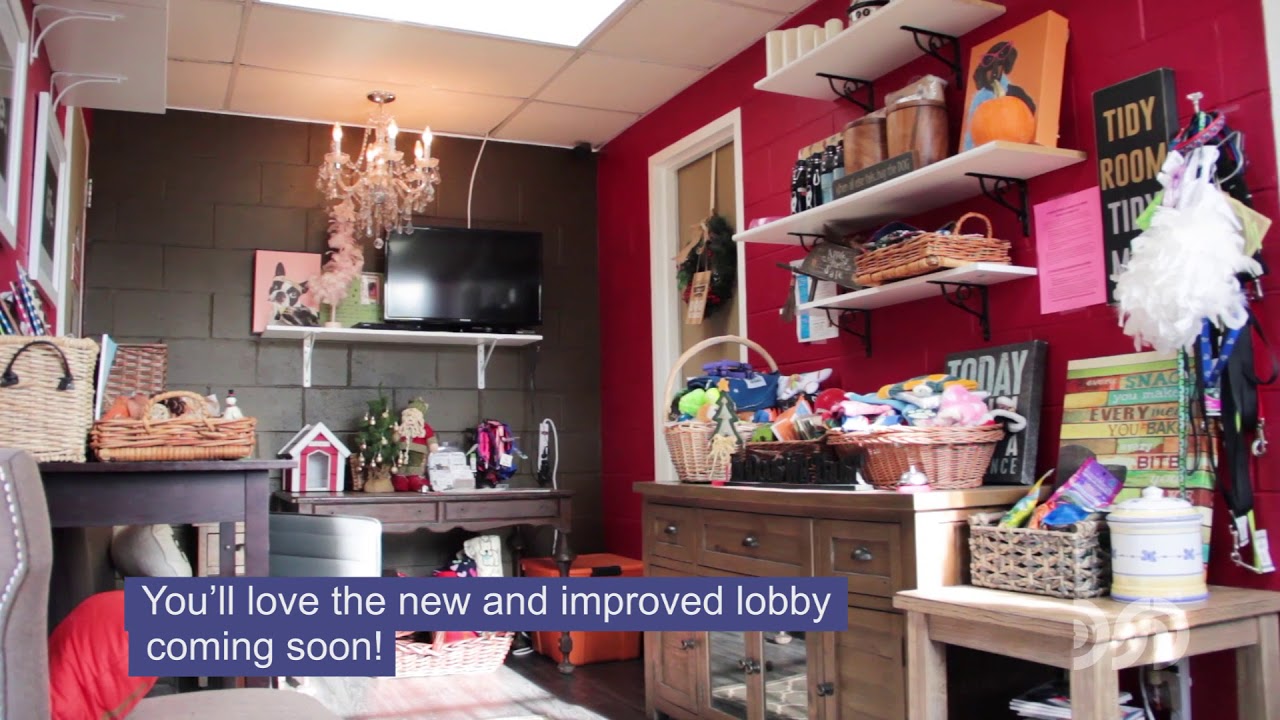 Almost Home Animal Shelter // Renovations & Additions