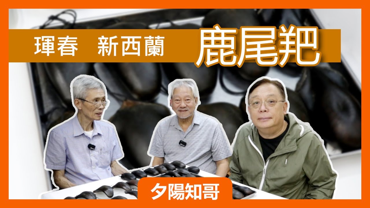中藥篇 3｜鹿尾羓