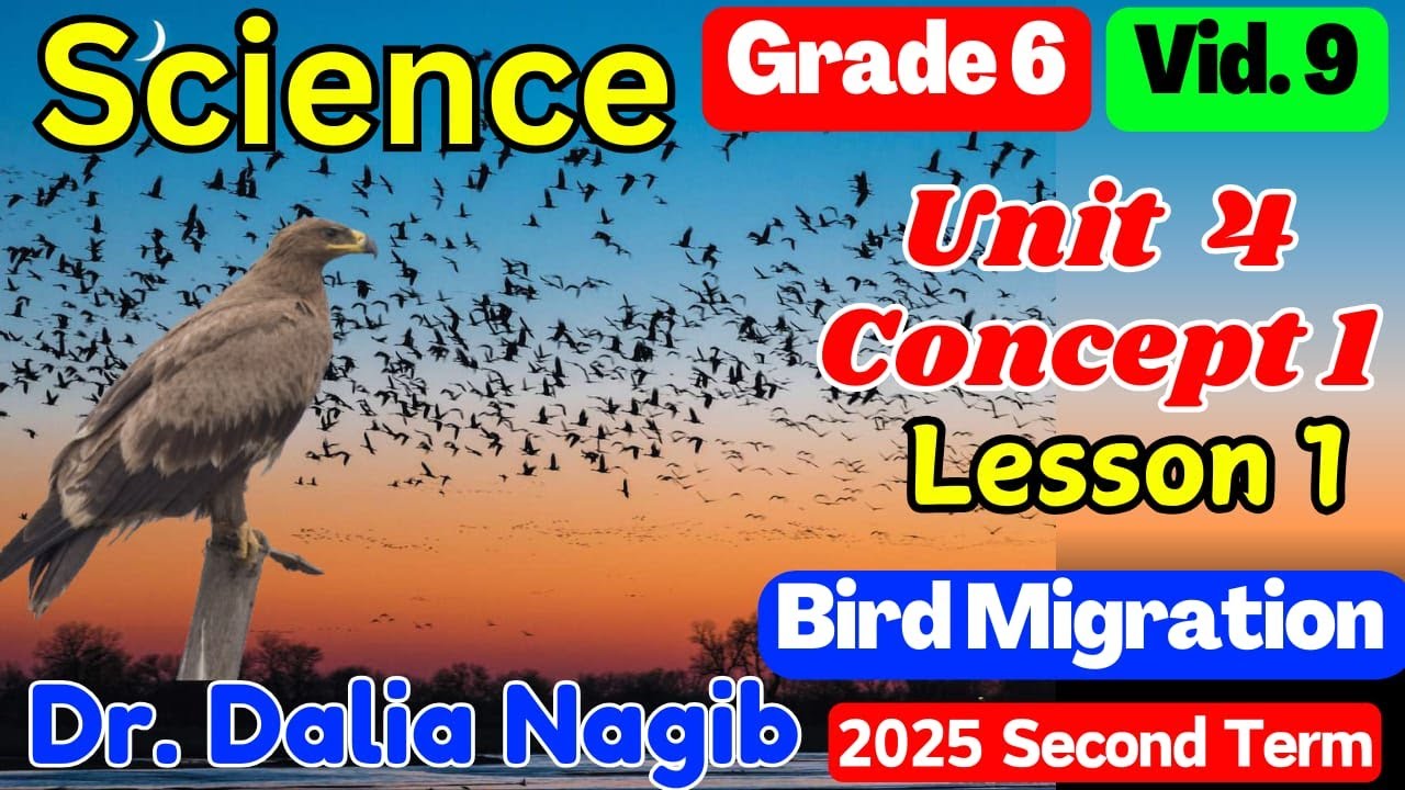 ساينس سادسة ابتدائى 𝟐𝟎𝟐𝟓  𝐒𝐜𝐢𝐞𝐧𝐜𝐞 𝐆𝐫𝐚𝐝𝐞 𝟔 𝐔𝐧𝐢𝐭 𝟒 𝐂𝐨𝐧𝐜𝐞𝐩𝐭 𝟏 𝐋𝐞𝐬𝐬𝐨𝐧 𝟏 𝐁𝐢𝐫𝐝 𝐌𝐢𝐠𝐫𝐚𝐭𝐢𝐨𝐧