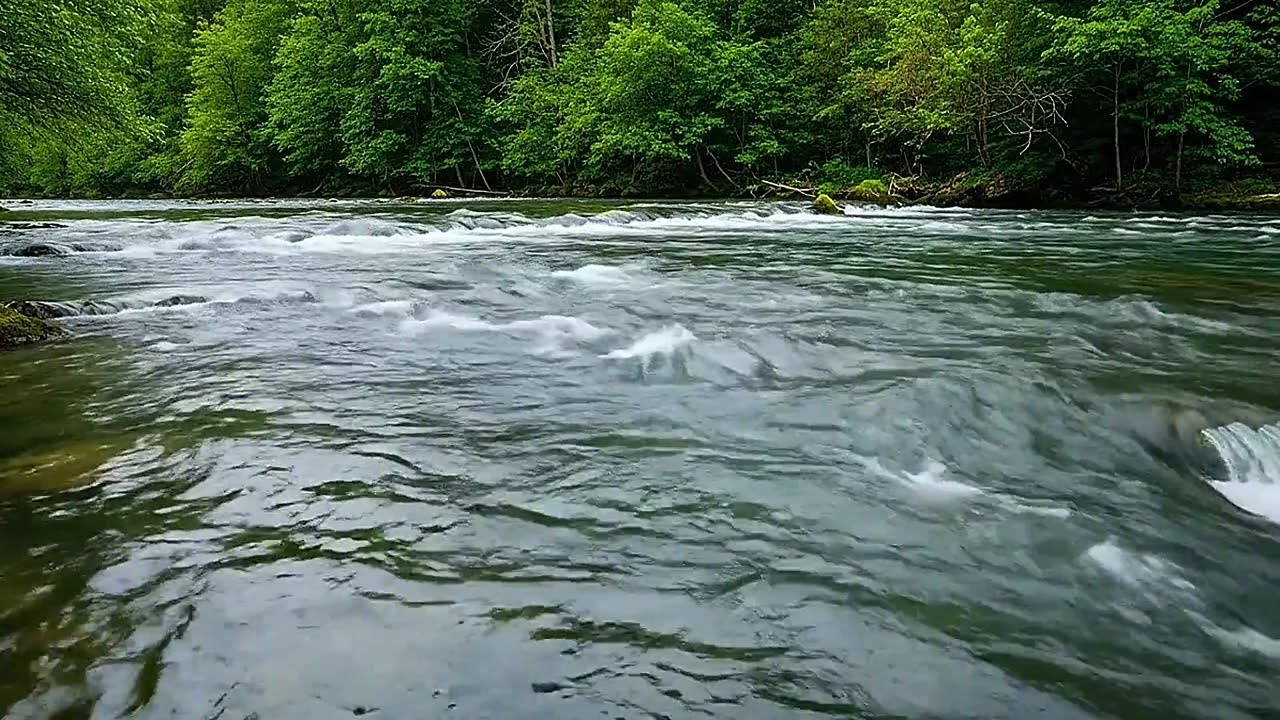 Gentle River Sounds for Sleep | Relaxing Nature Ambience to Calm Your Mind