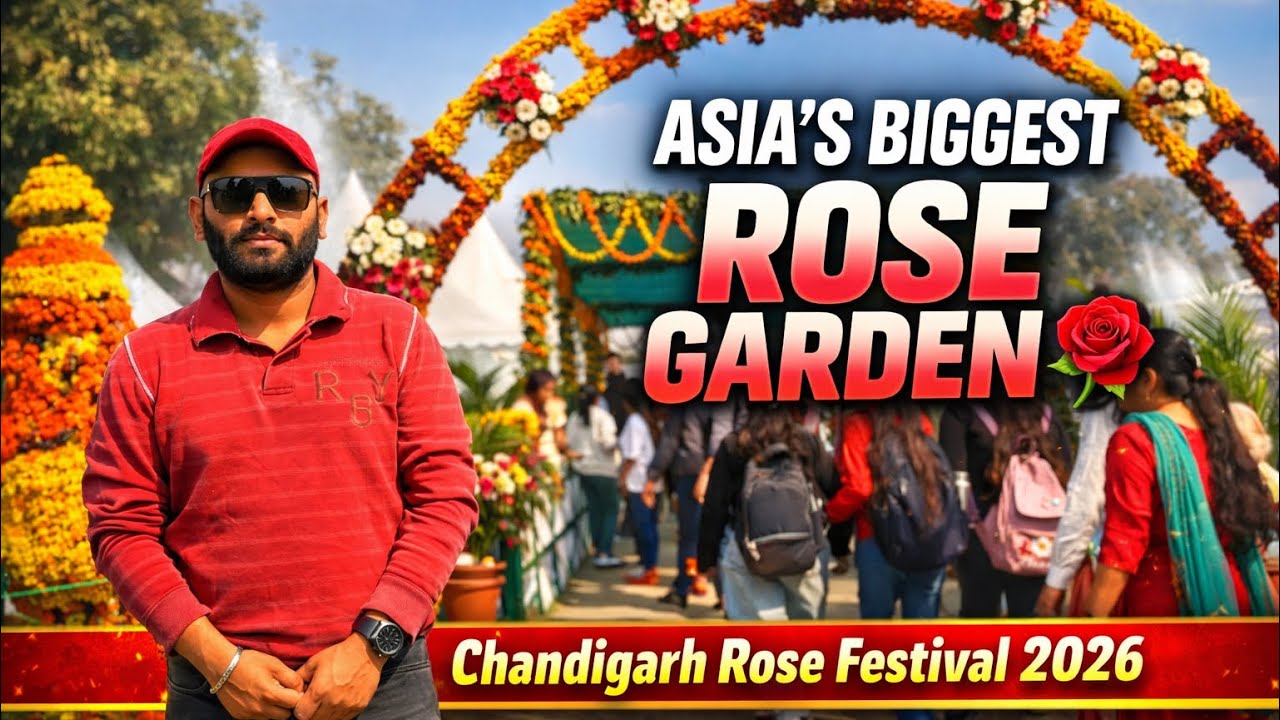 Chandigarh Rose Festival 🌹 | Asia’s Biggest Rose Garden in Full Bloom