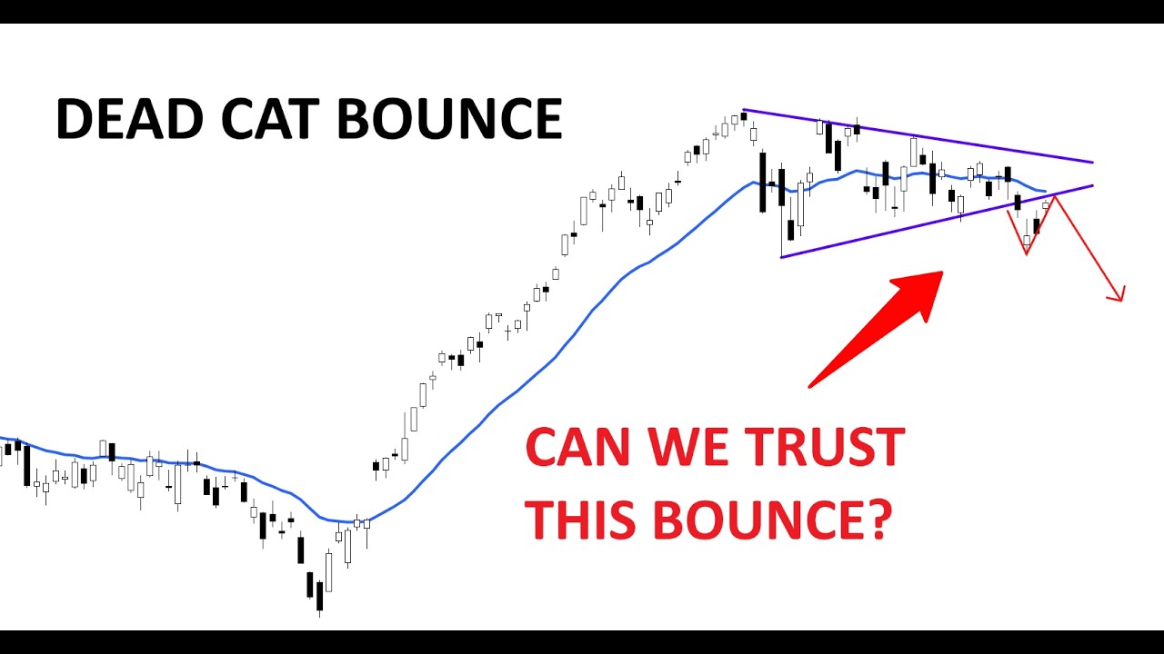 Technical Analysis of Stocks: SPY / QQQ / NVDA / TSLA / AMD / PLTR / ORCL / HOOD