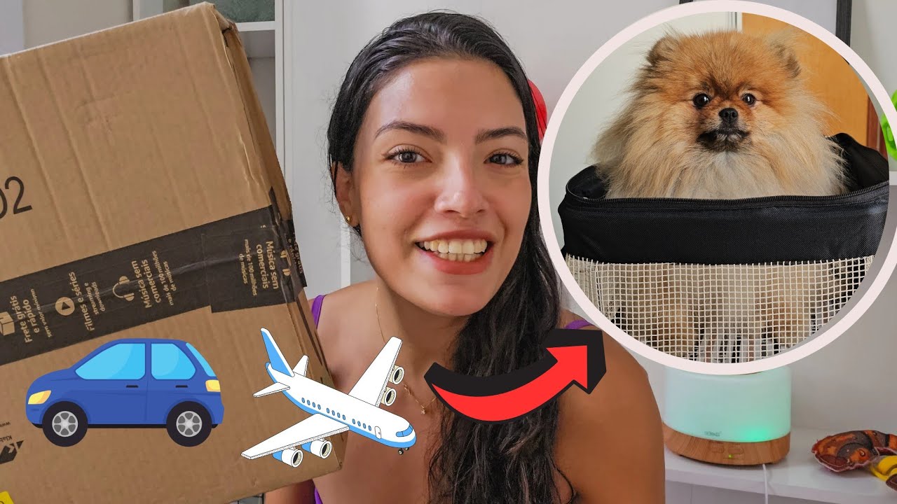 Testei a BOLSA DE TRANSPORTE SÃO PET! Cabe um spitz alemão?!