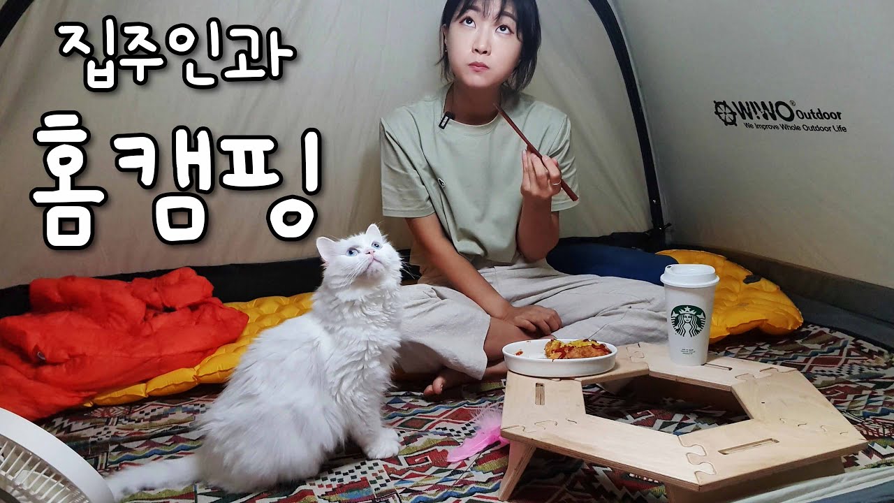 [Eng] 반려묘와 홈캠핑 | 고양이 힐링 캠핑 | 심쿵주의 | Home Camping with cat |