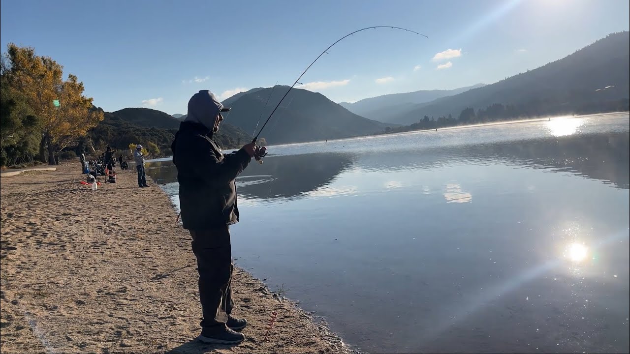 Silverwood Lake(1st Day) 5000 lb Mt.Lassen trout.Pesca de truchas #trout #fishing#truchas