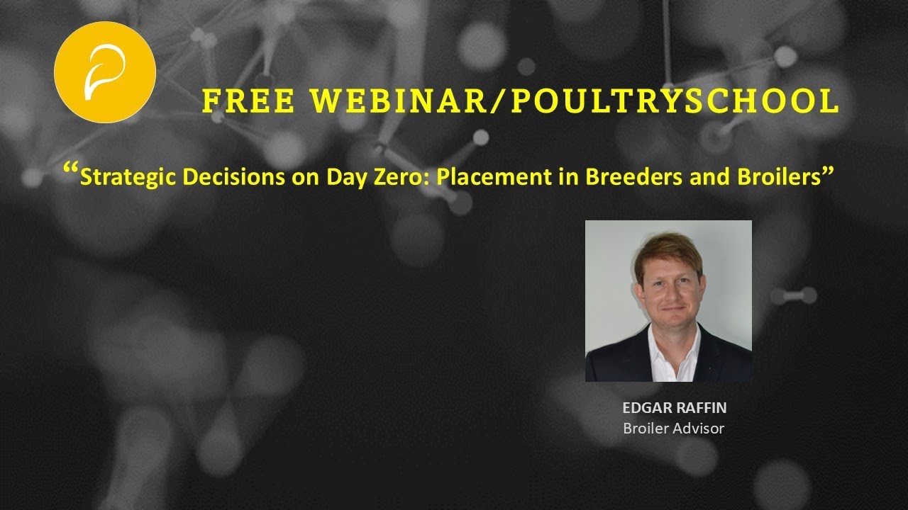 Strategic Decisions on Day Zero: Placement in Breeders and Broilers - Edgar Raffin