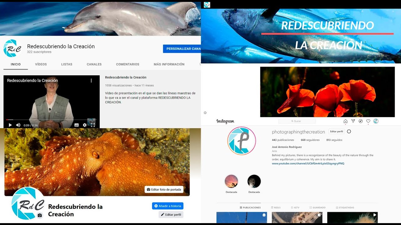 Video presentación plataforma RdC