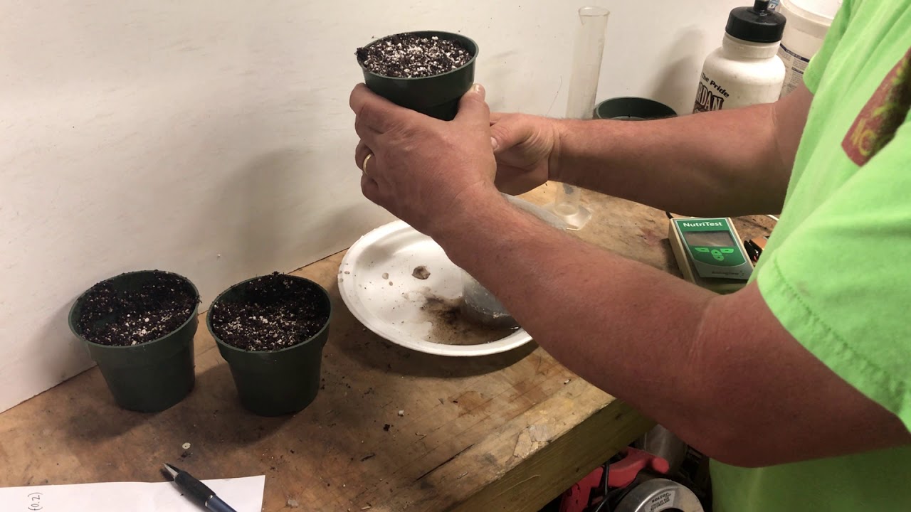 EC and pH testing methods lab demonstration