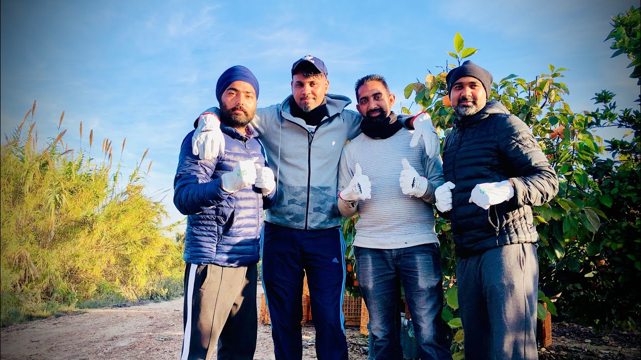 Punjabi in Spain | Work in Spain after lockdown | November 2020  | #fyp #workinspain #punjabiinspain