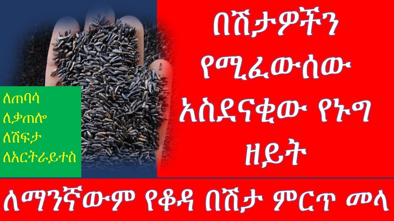 በሽታዎችን የሚፈውሰው አስደናቂው የኑግ ዘይት //ለማንኛውም የቆዳ በሽታ ምርጥ መላ /Blood type food/ethiopia