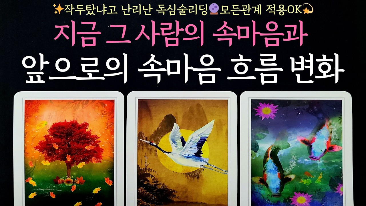 [타로] 