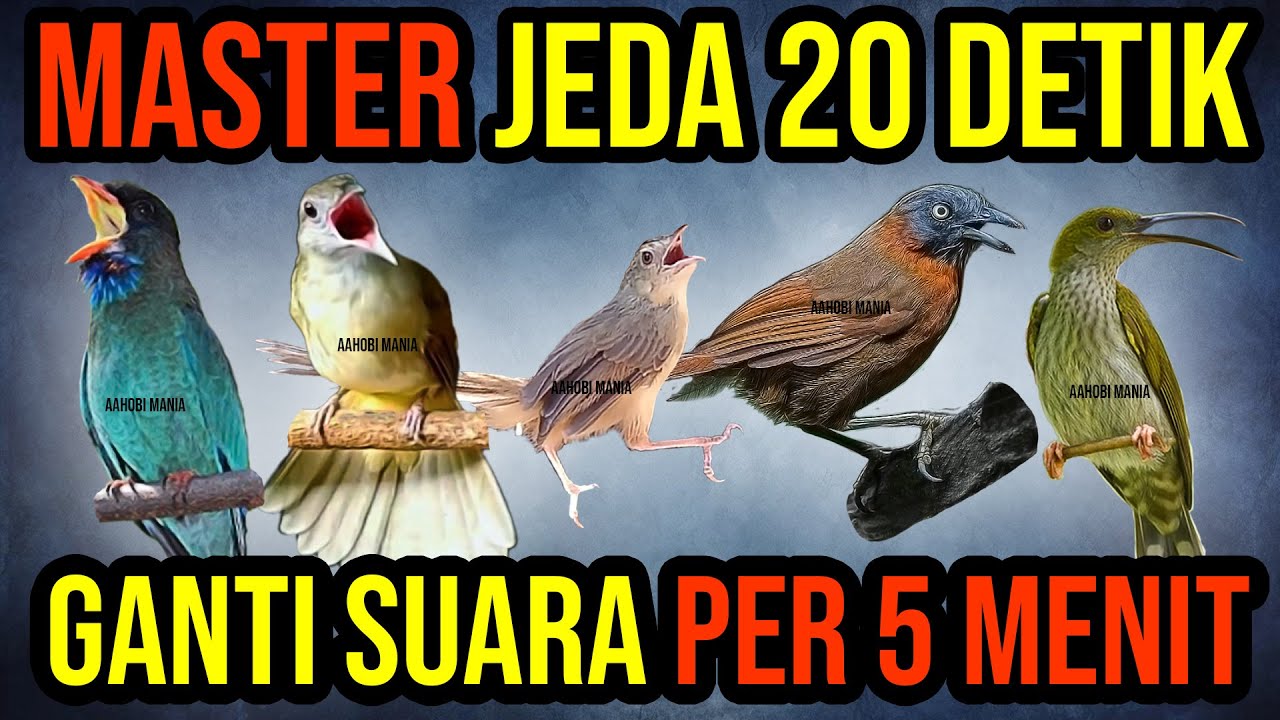 Tengkek Buto KATEM cigun TEPUS K.ABU Pijantung Gunung Jeda 20 detik Ganti Audio Per 5 menit.