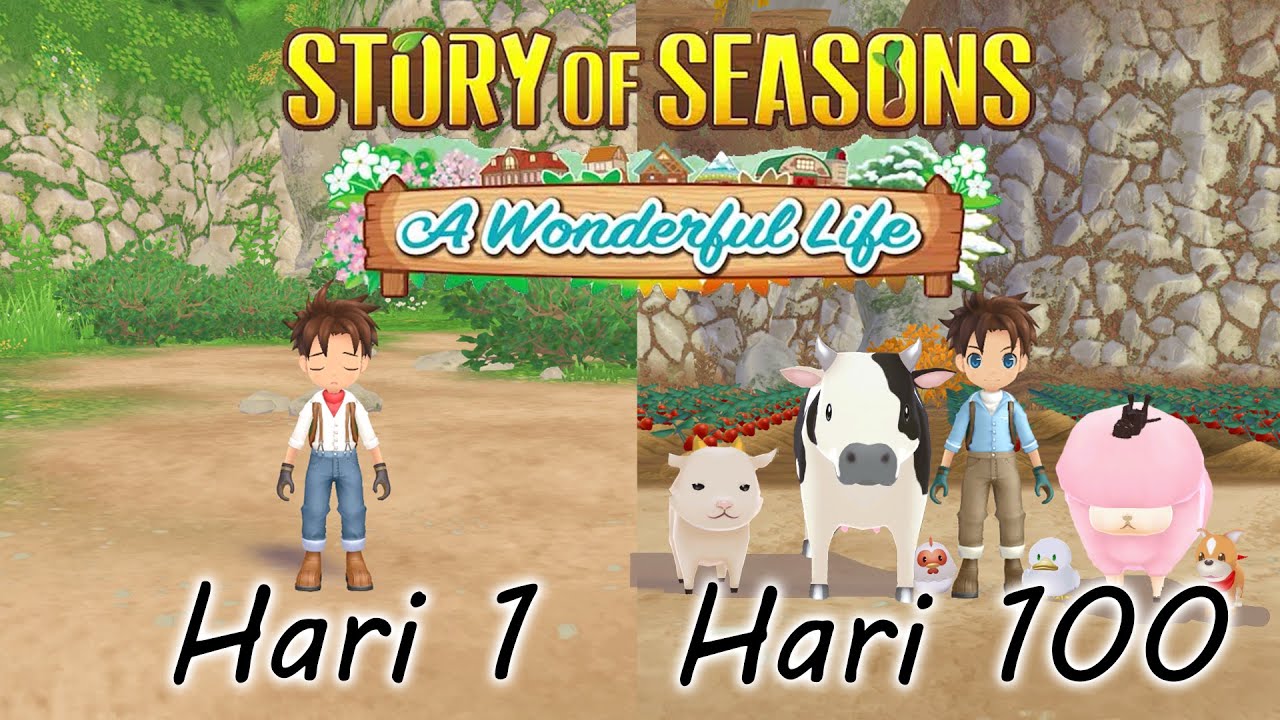 100 Hari Story of Season A Wondeful life