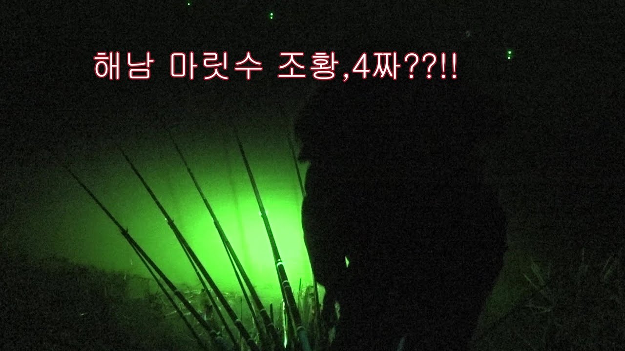 해남에서의 낚시여행 마릿수조황