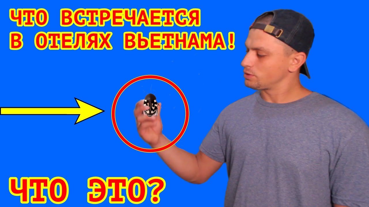 НЯЧАНГ ОТЕЛИ 3, SUMMER |ОТЗЫВ, ПЛЯЖ| CROWN NGUYEN HOTEL, Вьетнам 2019