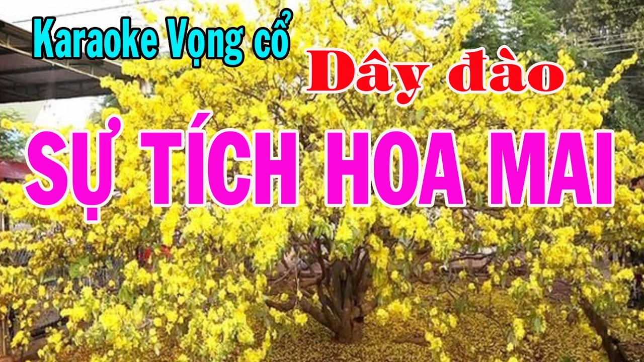 Karaoke vọng cổ SỰ TÍCH HOA MAI - DÂY ĐÀO
