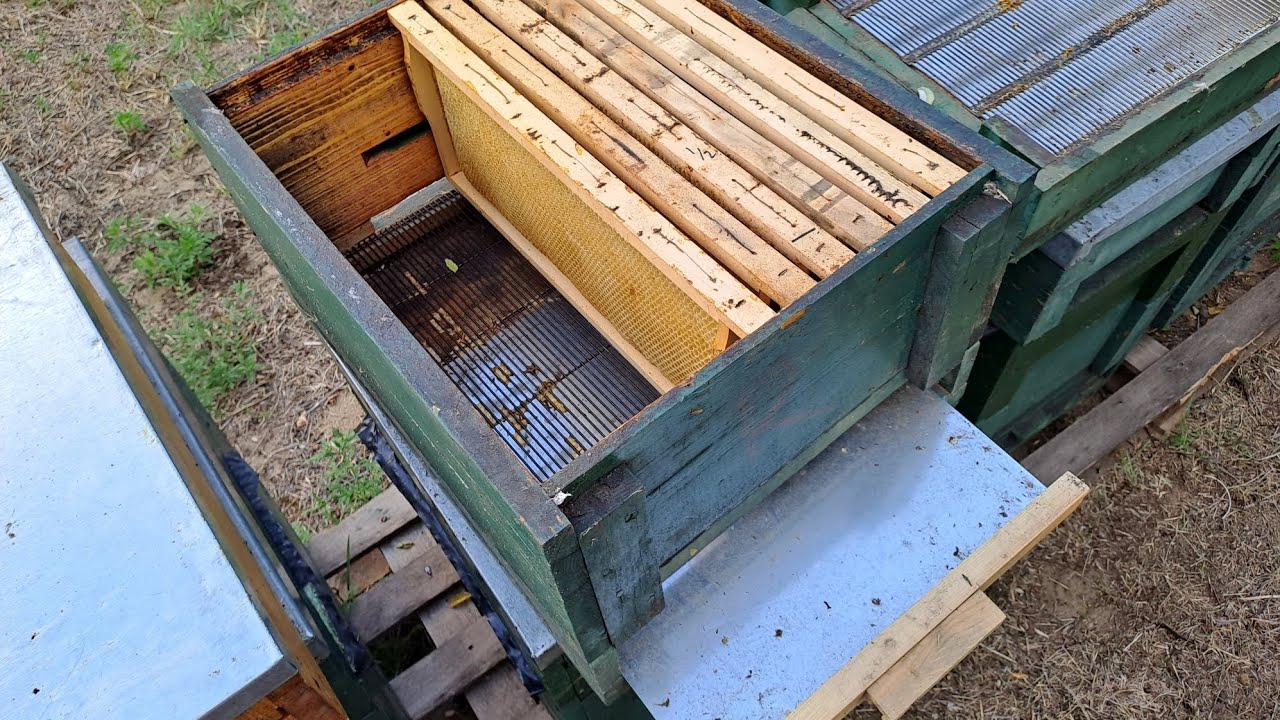 A higénikus kaptáralj szerepe és jelentősége a méhészetben