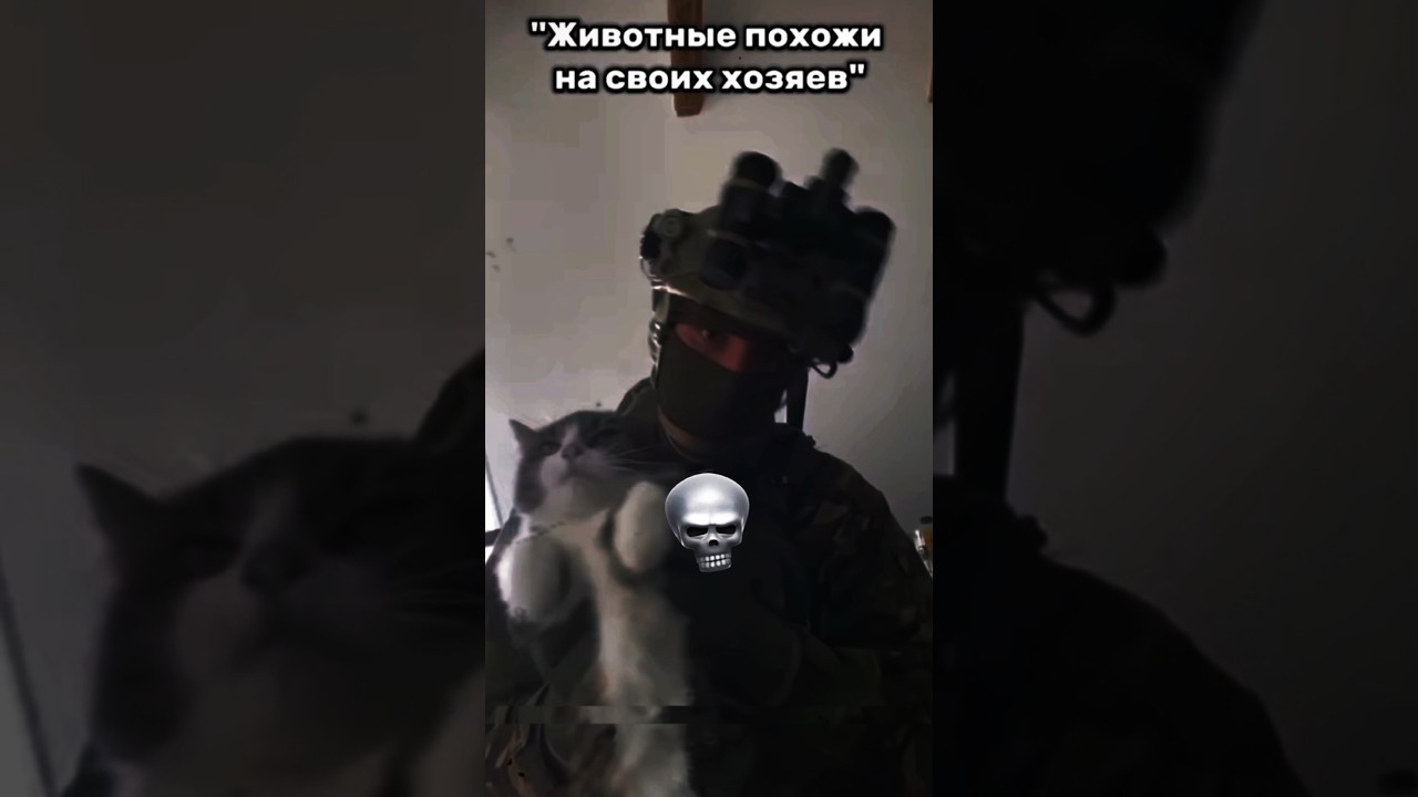 Слушай МОЙ Новый ФОНК пол ЗВУКОМ! 😉 #experimentalphonk #phonkagressive #sound #edit #music