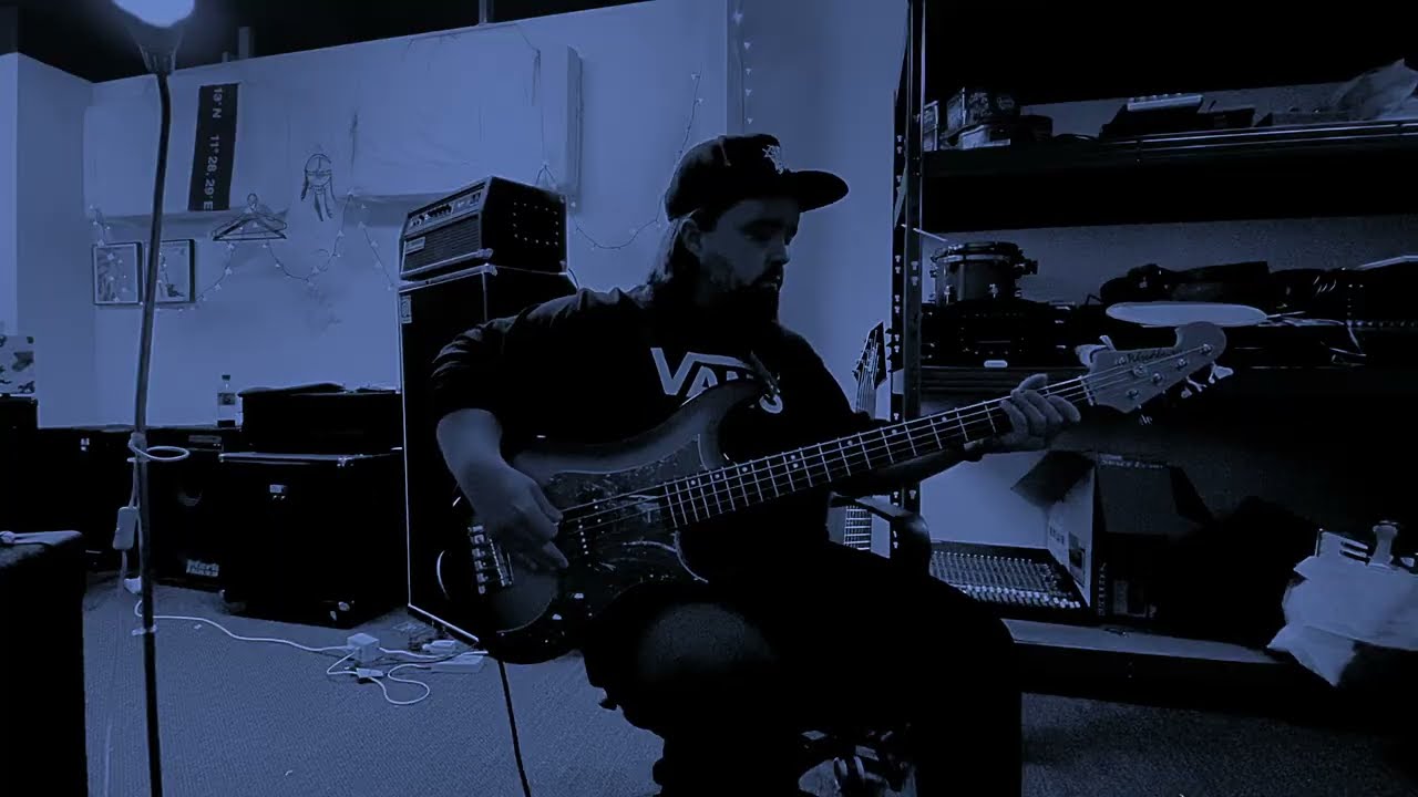 Harms Way - Human Carrying Capacity (Bass Cover)