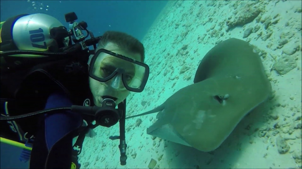 Bandos (Maldives) underwater highlights