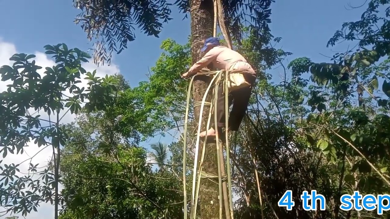 කිතුල් කර්මාන්තය